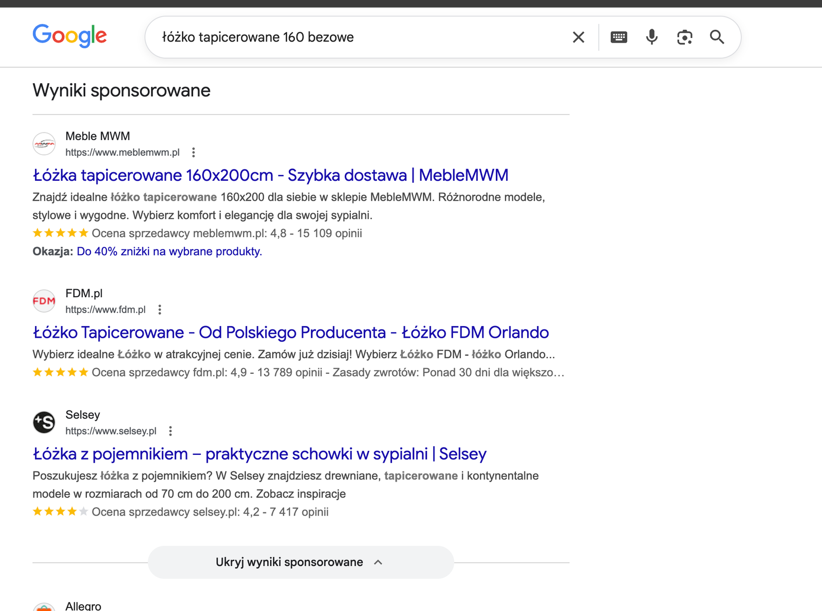 Google Search Ads &mdash; wyniki sponsorowane